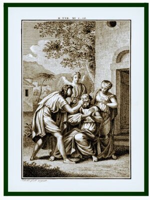 cover image of The Divine Journey of Tobit and Tobias